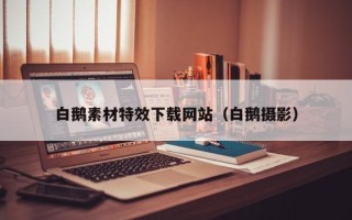 荆门白鹅素材特效下载网站（白鹅摄影）
